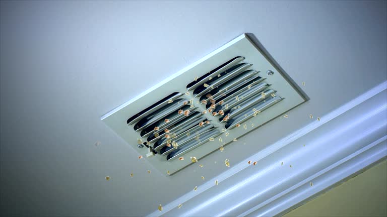 Best Affordable HVAC Duct Cleaning  in Murphys Estates, SC