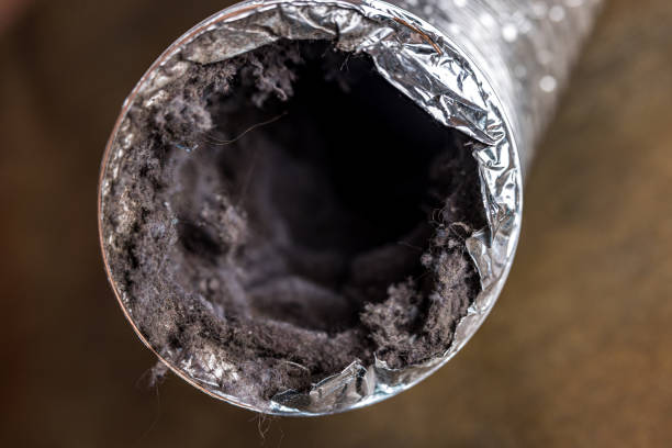 Best Local Air Duct Cleaning Services  in Murphys Estates, SC